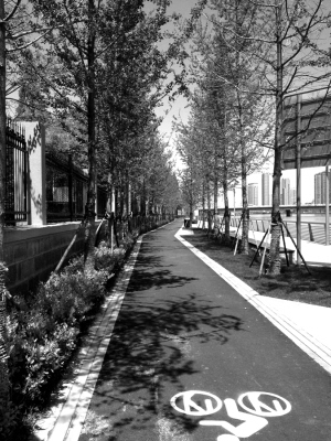 Ŀǰ�ѽ���16�fƽ���׾G���γ�5.5�����B�m(x��)�G��ÿ�������н�ǧ�˴��ڽ��Ʌ^(q��)���(n��i)呟������e