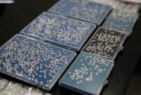 中國海關(guān)破獲一起特大鉆石走私案 案值38.8億