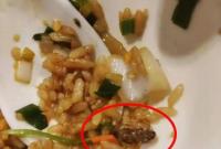 ����֪��С���r�ꔂ��������ͳԵ���� ����@���f��