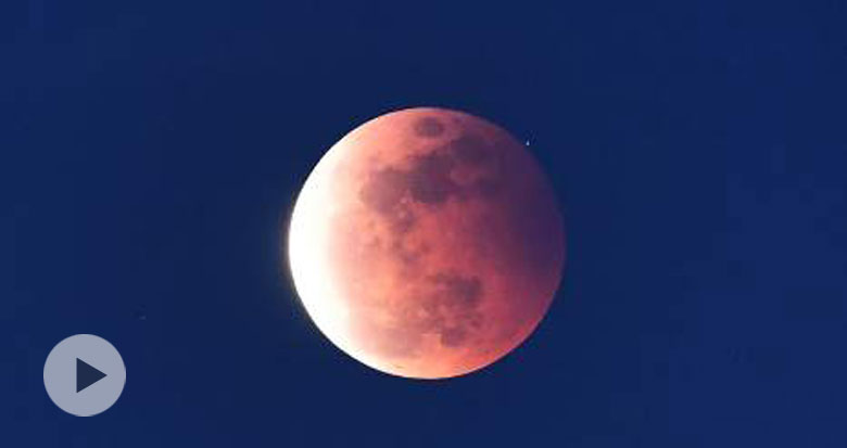 ҕ�l���ˣ������t�����F��