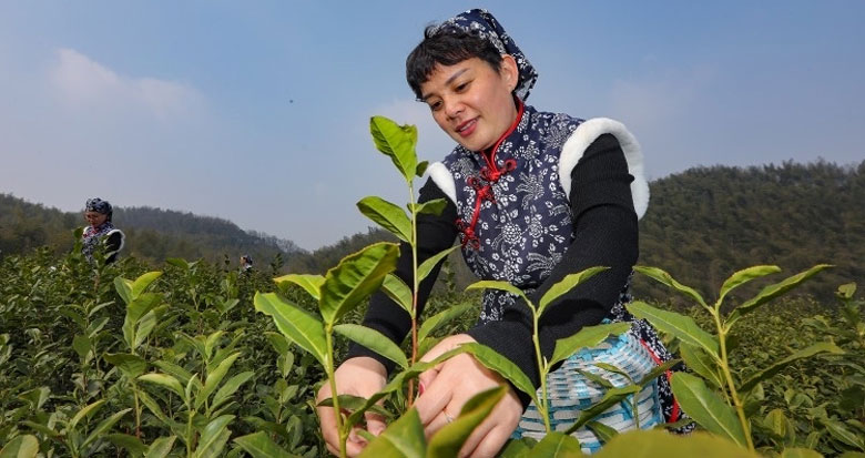 ���������M���_����