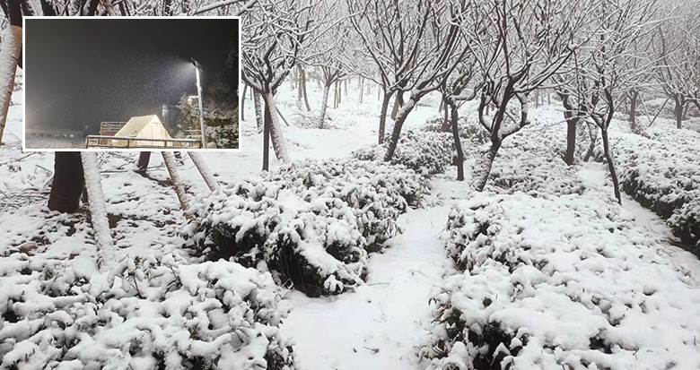 ����ɽ�^����ѩ�ˣ�