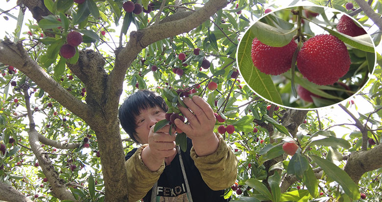 ���ش����÷�����r������ �r���cȥ���ஔ