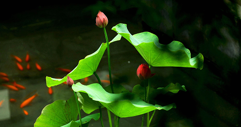 �@�ֲ����^ ���~������ː�