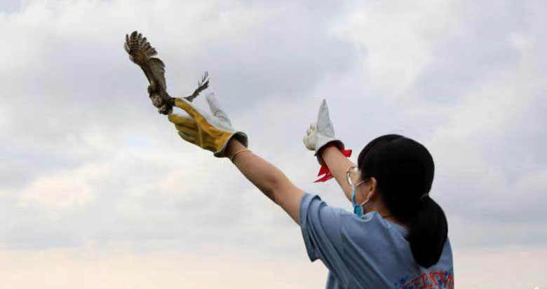 ����B������l�l�����������@���f��һ�����¾���175ֻ