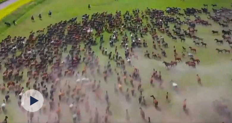 �eգ�� 30�뎧�����p���f�R���v���𺳈���