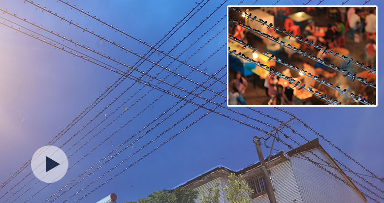 ��ǧ���f(w��n)ֻ����ÿ���(l��i)�@�ۼ� "�������(l��)��(hu��)"����