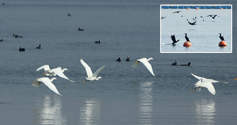 ����÷ɽ����ˮ�B�w