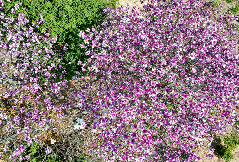 �ϼt���m�����G