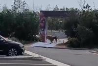 �R��F��ֻ�{���f���\�� �^����ɢ�������ٷ�����ͨ��