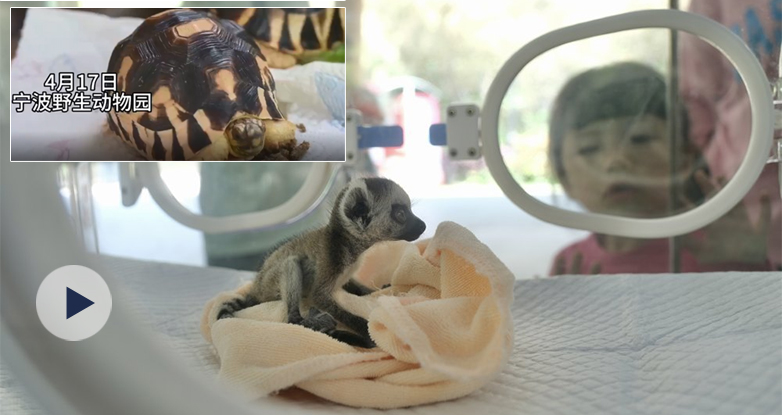 �Ȼ��ˣ�����Ұ������@���׃��@���_�W��