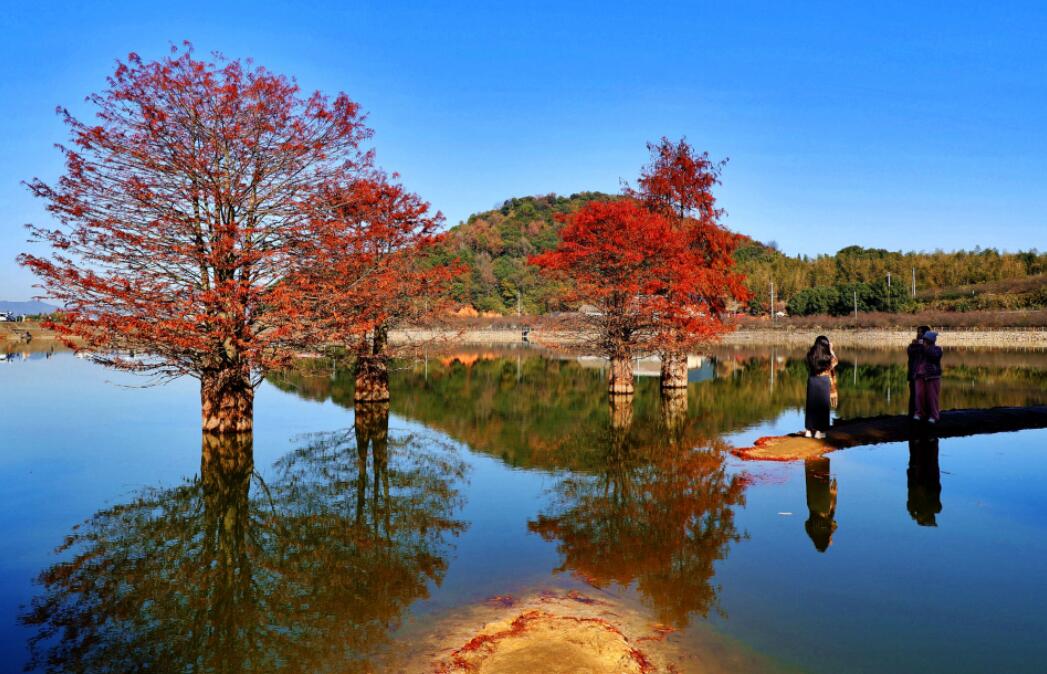 ̫���������ˮ��tɼ��