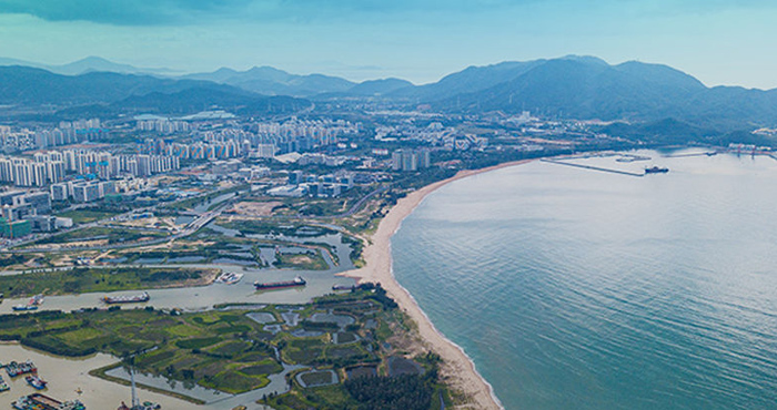 ���������Q�׸���ʽ����ȫ�u���P