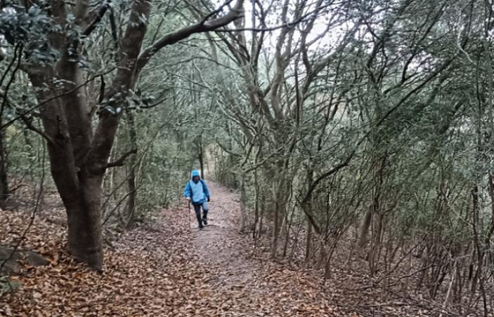 �~���X�ŵ�